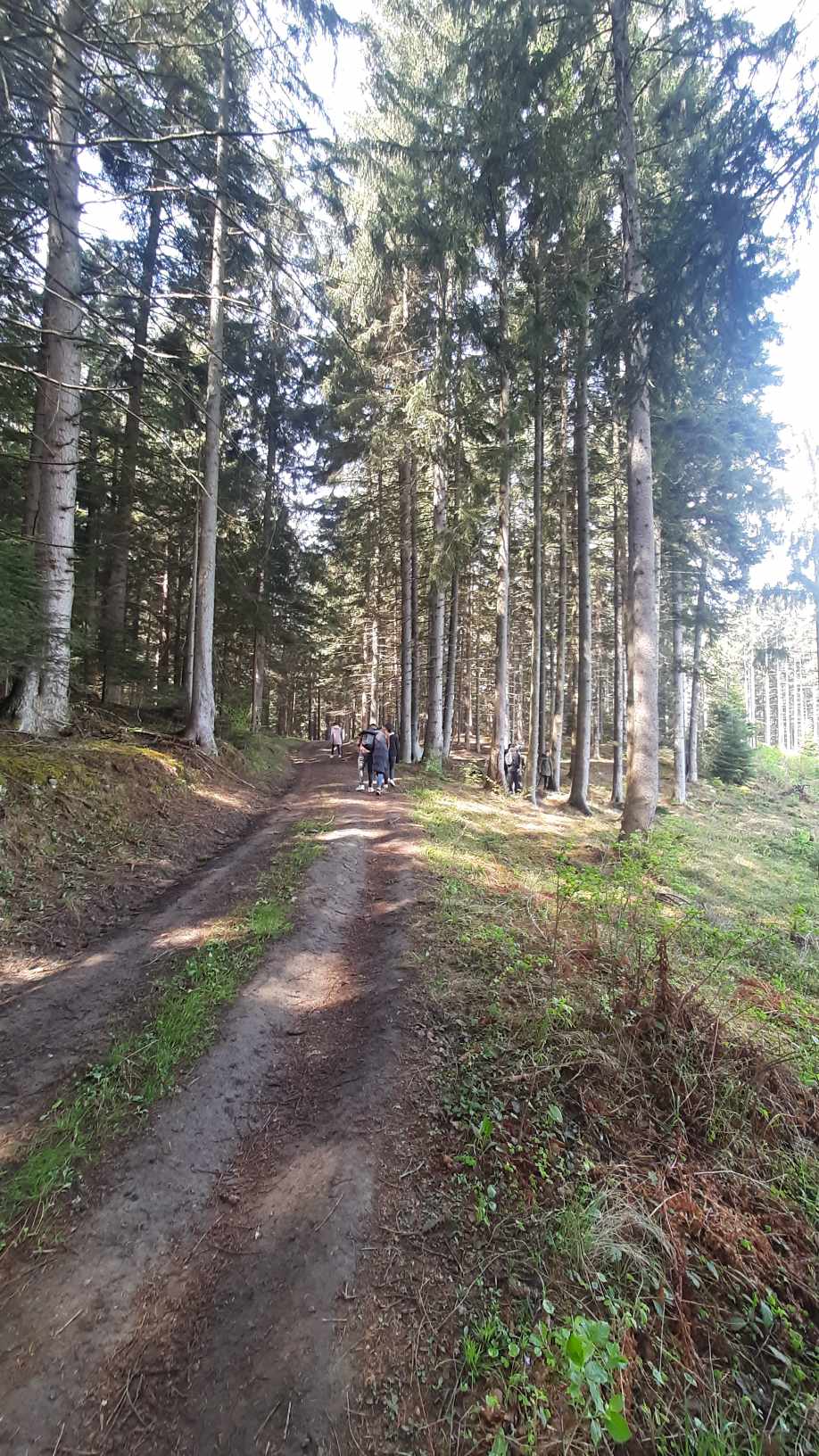 nature kép 20